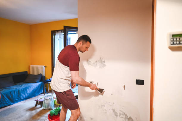 Home Mold Removal in Princeton Junction, NJ